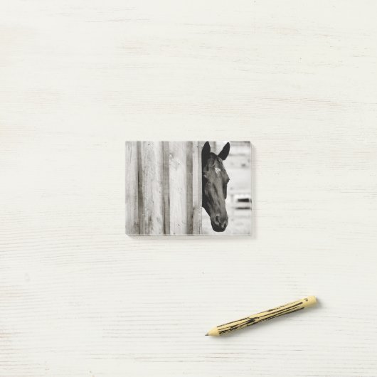 Nieuwsgierig zwart paard post-it® notes (Op bureau)