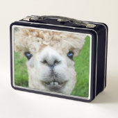 Nieuwsgierige Alpaca Foto (Achterkant)