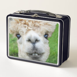 Nieuwsgierige Alpaca Foto