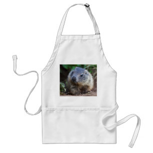 Nieuwsgierige baby marmot schort