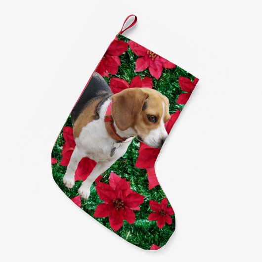 Nieuwsgierige Beagle Poinsettias kerststaart Kleine Kerstsok (Voorkant (Hangend))