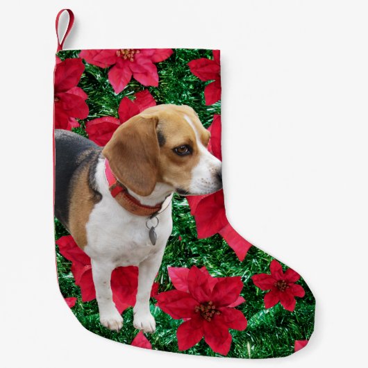 Nieuwsgierige Beagle Poinsettias kerststaart Kleine Kerstsok (Voorkant)