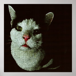 Nieuwsgierige Bob Poster