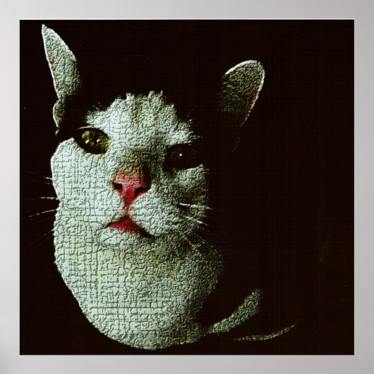 Nieuwsgierige Bob Poster (Voorkant)