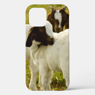 Nieuwsgierige Boer Geiten in Zonnige Weide Boerder Case-Mate iPhone Case