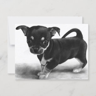 Nieuwsgierige Chihuahua Puppy - handgeschilderd ku Briefkaart
