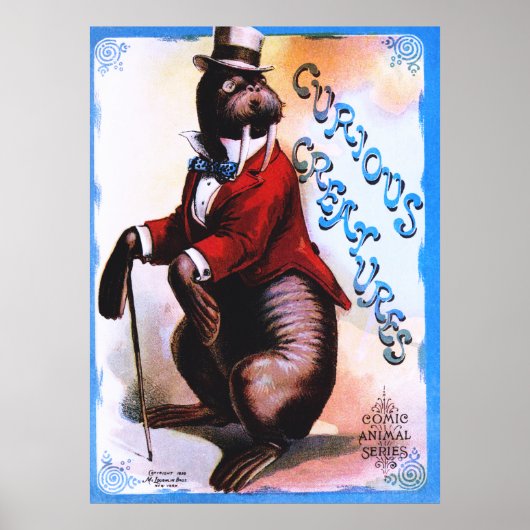 Nieuwsgierige creaties - zegel poster (Voorkant)