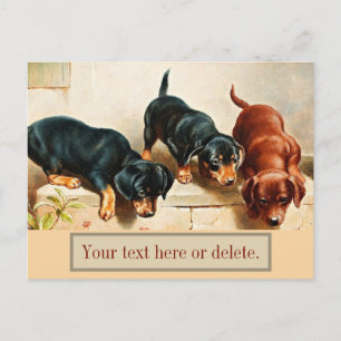 Nieuwsgierige Dachshond Puppies Oude Wiener Honden Briefkaart