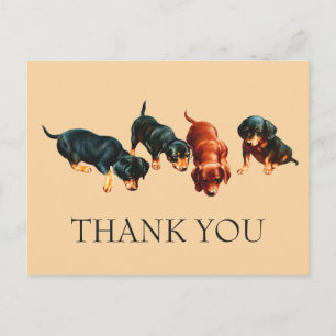 Nieuwsgierige Dachshond Puppies Oude Wiener Honden Briefkaart