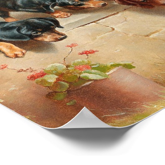 Nieuwsgierige dachshondpuppy's | Carl Reichert Poster (Hoek)