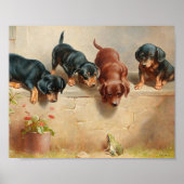 Nieuwsgierige dachshondpuppy's | Carl Reichert Poster (Voorkant)