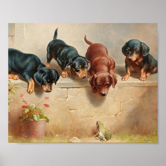 Nieuwsgierige dachshondpuppy's | Carl Reichert Poster (Voorkant)