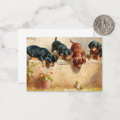 Nieuwsgierige dachshondpuppy's en een kikker notitiekaartje (Voorkant / Achterkant in situ)