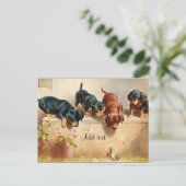 Nieuwsgierige Dachshund Puppies SJABLOON Briefkaart (Staand voorkant)