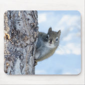 Nieuwsgierige eekhoorn, piekend uit een boom muismat (Voorkant)