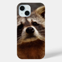 nieuwsgierige foto van Raccoon