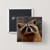 nieuwsgierige foto van Raccoon Vierkante Button 5,1 Cm (Voorkant /achterkant)