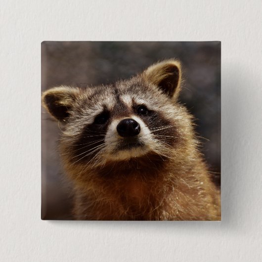 nieuwsgierige foto van Raccoon Vierkante Button 5,1 Cm (Voorkant)