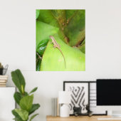 nieuwsgierige hagedis poster (Thuiskantoor)