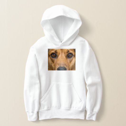Nieuwsgierige Hond Kijkt (Laagn)