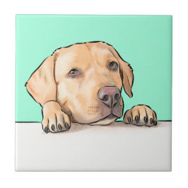 nieuwsgierige hond tegeltje