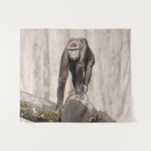 Nieuwsgierige jonge gorilla wandkleed (Voorkant (horizontaal))