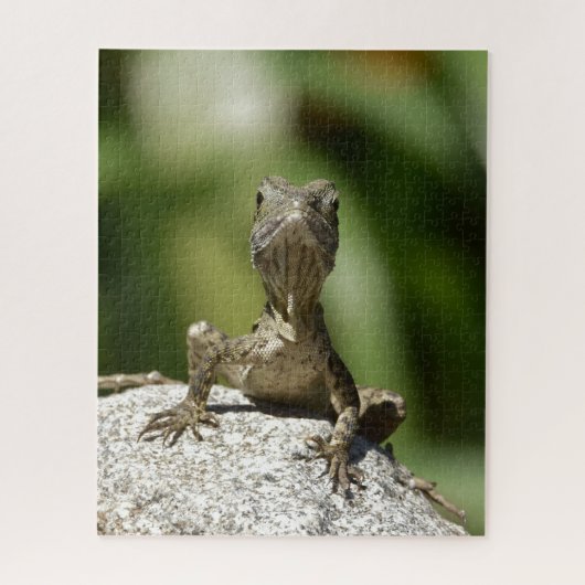 Nieuwsgierige jonge hagedis legpuzzel (Verticaal)