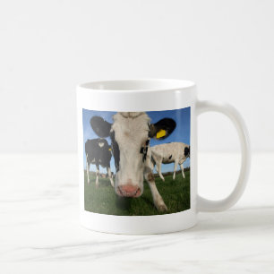 Nieuwsgierige kabeljauw koffiemok