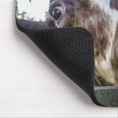 Nieuwsgierige kabeljauw muismat (Hoek)