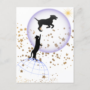 Nieuwsgierige kat en hond briefkaart