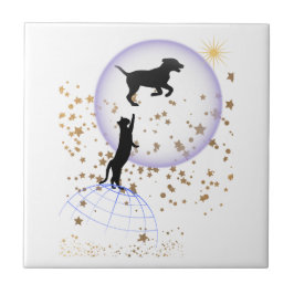 Nieuwsgierige kat en hond tegeltje