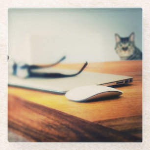 Nieuwsgierige Kat - Glas Onderzetter