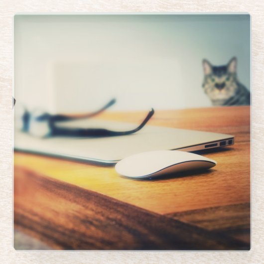 Nieuwsgierige Kat - Glas Onderzetter (Voorkant)