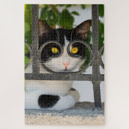 Nieuwsgierige kat met brillenLijst Funny Jigzaag Legpuzzel