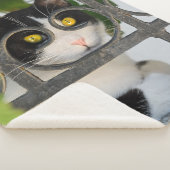 Nieuwsgierige kat-ogen met brillenglazen Lijst Fun Sherpa Deken (3/4)