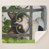 Nieuwsgierige kat-ogen met brillenglazen Lijst Fun Sherpa Deken (Voorkant (horizontaal))