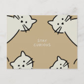 Nieuwsgierige katten briefkaart (Voorkant)