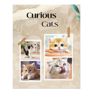 Nieuwsgierige Katten Collage Foto Afdruk