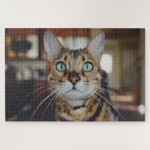 nieuwsgierige kattenpuzzel legpuzzel