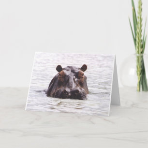 Nieuwsgierige Keeboko (Hippo) Kaart