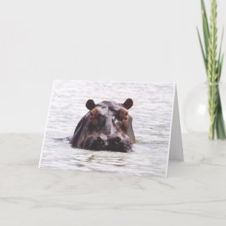 Nieuwsgierige Keeboko (Hippo) Kaart