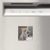 nieuwsgierige Kittens Magneet (Insitu (Vaatwasser))