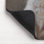 nieuwsgierige Kittens Muismat (Hoek)