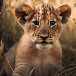 Nieuwsgierige kleine lion Cub Jigzaag Puzzle Legpuzzel