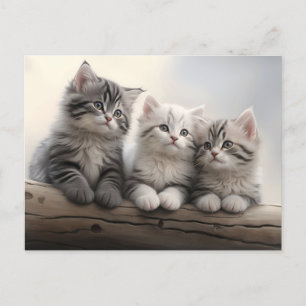 Nieuwsgierige kleintjes - Leuke Tabby kittens Briefkaart