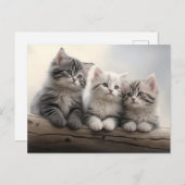 Nieuwsgierige kleintjes - Leuke Tabby kittens Briefkaart (Voorkant / Achterkant)