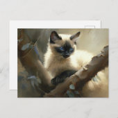 Nieuwsgierige klimmer Siamese Kitten Briefkaart (Voorkant / Achterkant)