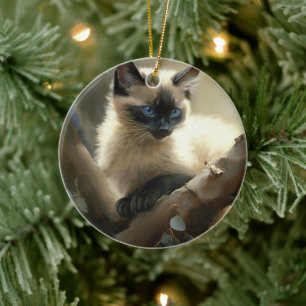 Nieuwsgierige klimmer Siamese Kitten Keramisch Ornament
