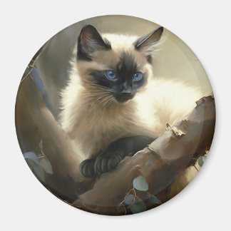 Nieuwsgierige klimmer Siamese Kitten Magneet