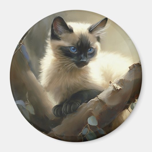 Nieuwsgierige klimmer Siamese Kitten Magneet (Voorkant)